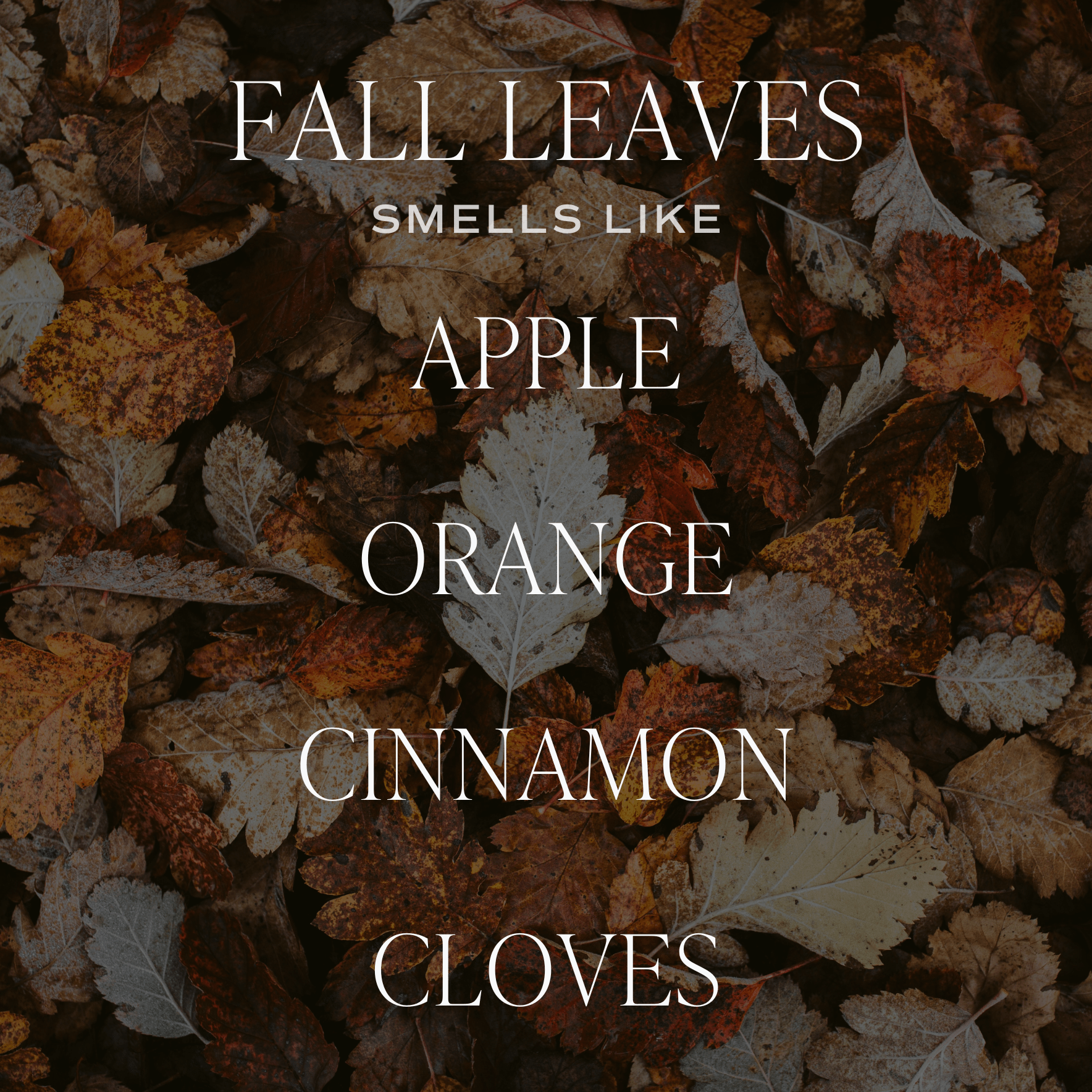 *NEW* Fall Leaves 9 oz Soy Candle - Fall Decor and Gifts