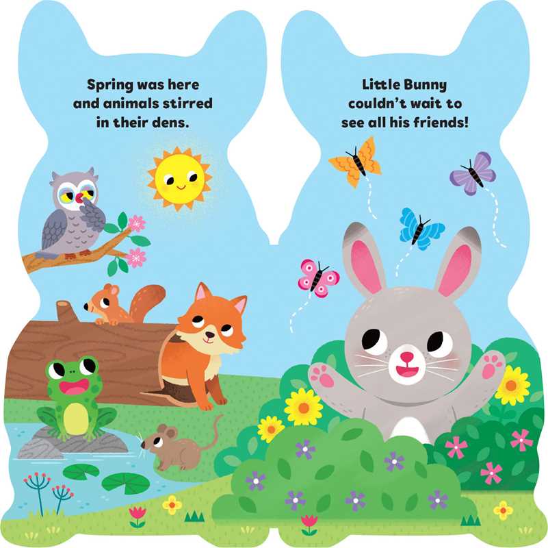 Little Book Set: Little Chick, Little Bunny, Little Lamb by Maggie Fischer