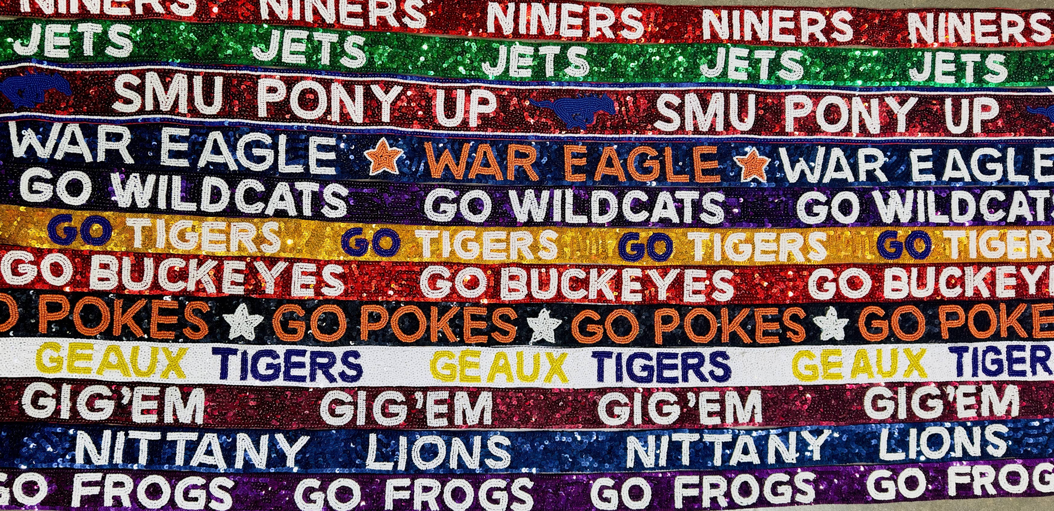 Gameday Purse  Strap - stadium bag