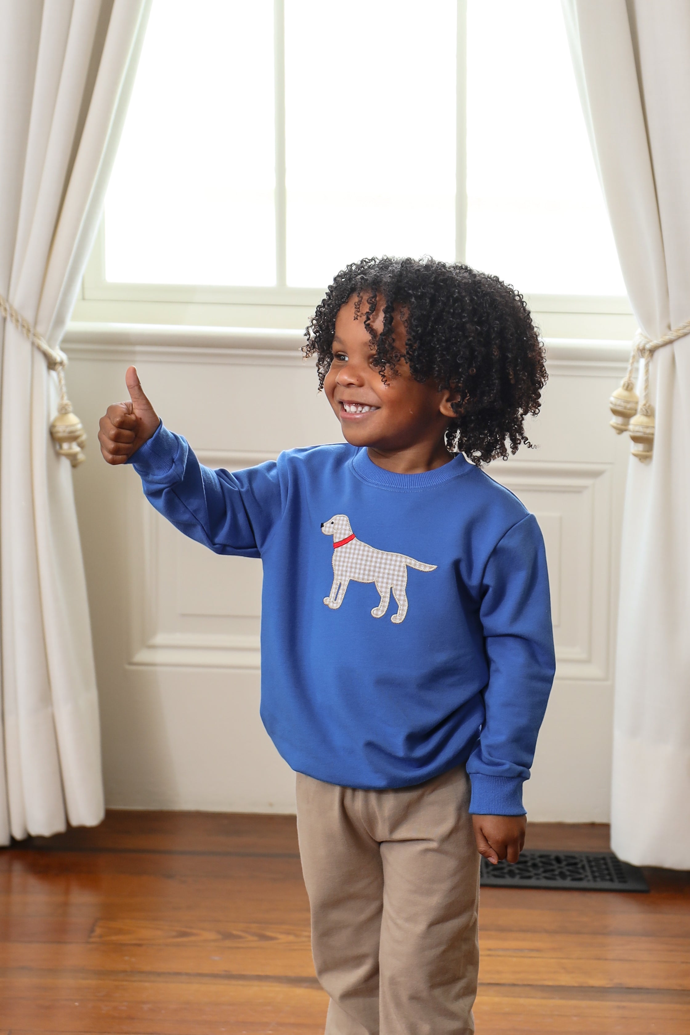 Dog Pullover